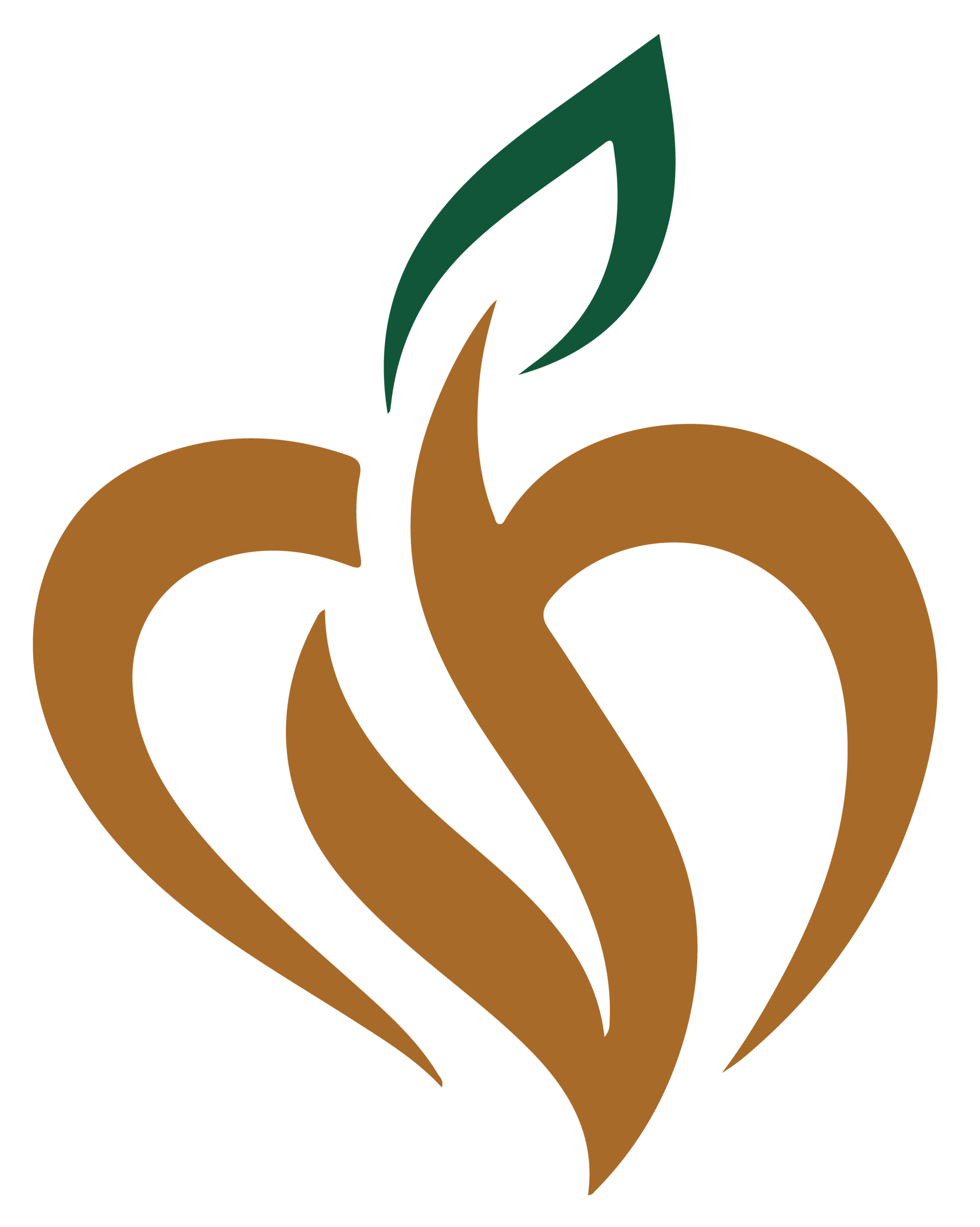 PRANSiKHA Foundation